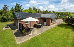 Pet Friendly Home In Ringkøbing With Wifi